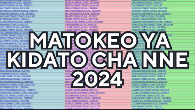 NECTA Form Four Result 2024/2025